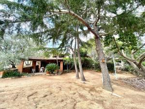 Villa Bellavista Apartments img48