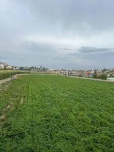 Hospedaje Sachaca, Arequipa - Veracruz Grande