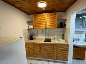 1 Zimmer Apartment in BFH-Untergriesheim - Haßmersheim