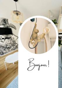 Appartements Studio renove a deux pas du port - Escale Opaline : photos des chambres