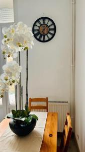 Appartements Celine Appart : photos des chambres