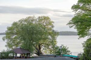 Kietz-Perle mit Balkon & Müritzblick im historischen Speicher