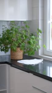 Apartments Smålandsstenar