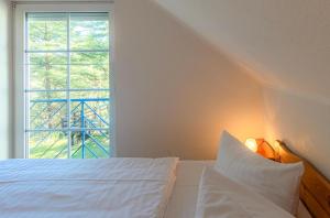 Waldgeflüster am Plauer See