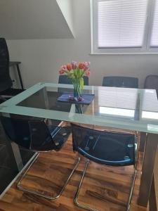 Schöne Wohnung in idyllischer Lage