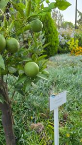 Elounda Spa Villa Crete - Ultimate Luxury Resort