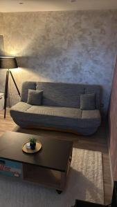 Appartements Le Petit Ardennais : photos des chambres