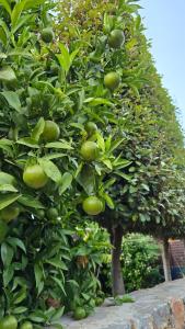 Elounda Spa Villa Crete - Ultimate Luxury Resort