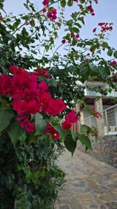 Elounda Spa Villa Crete - Ultimate Luxury Resort