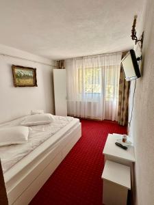 Casa Albiony Dâmbovicioara