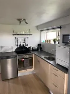 Cosy apartment - 塞尔福斯