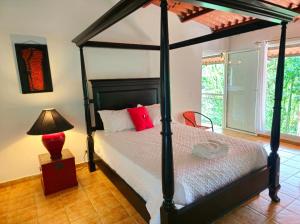 OLP Treehouse Cerro Azul