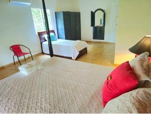 OLP Treehouse Cerro Azul