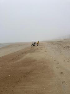 Strandstudio in hartje Koksijde