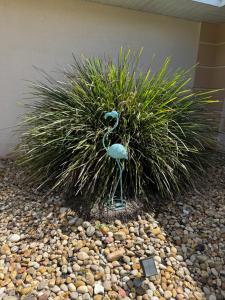 Lake House near Disney