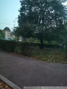 BRATISLAVA ROOMS near ICE ARENA