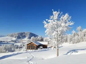 Ferienhof Dürlinde - Hittisau