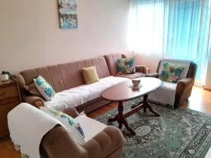 La Simba2 - Podrašnica