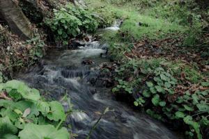 NASU terrace MANA 森のバレルサウナとBBQグリル
