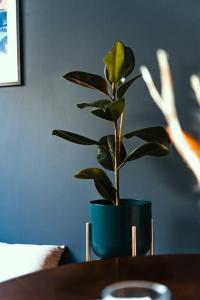 Appartements Cocon clermontois - Moderne et cosy : photos des chambres