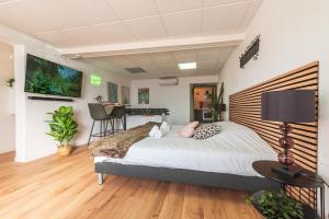 Appartements La Petite Jungle Romantique - Balneo et Detente : photos des chambres