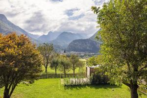 Via Alpina Apartments with sauna 