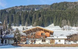 Große Ferienwohnung Muehlbach - 3hvězdičkové hotely ve městě Hollersbach im Pinzgau