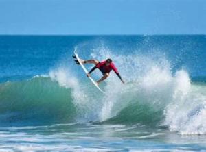 Oasis 205 - Rainforest Realm