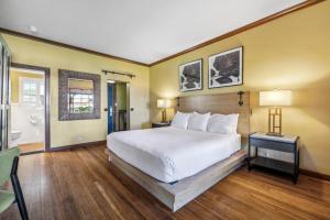 King Room - Non-Smoking room in Inn Marin and Suites Ascend Hotel Collection