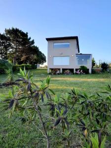 LA LECHUZA de San Edu