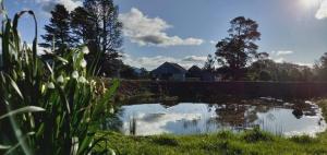 Wakefields - an enchanting mountain view cottage