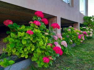 LA LECHUZA de San Edu