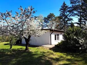 Ferienhaus mit Terrasse mitten im Grünen - Warsin