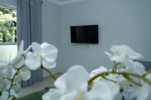 Apartamento no centro na avenida da Copacol