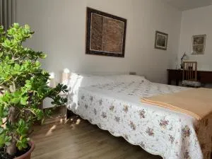 MiniLevico - Novaledo