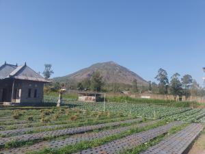 Polege Side Cottage and Jeep tour