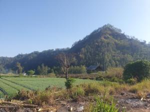 Polege Side Cottage and Jeep tour