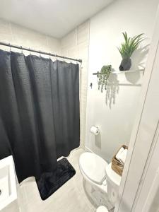 StayMiami Comes Alive