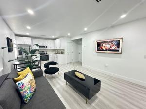 StayMiami Comes Alive