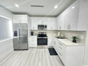 StayMiami Comes Alive