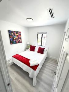 StayMiami Comes Alive