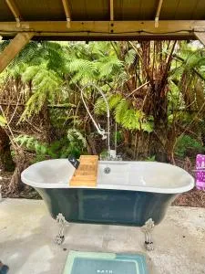 Romantic Retreat, Relax at Hot-tub, Indoor & Outdoor shower, firepit, 5 min to Hawaii Volcano park - Fern Forest