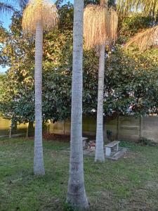 Turning Point Haven Rm2