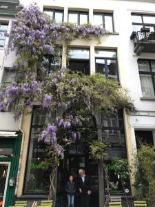 Spacious duplex with terrace in the middle of the center