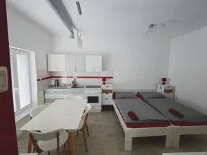 MASNA APARTMENT LIBEREC - Karolinsfeld