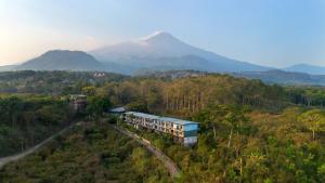 Royal Hotel and Outbound Trawas