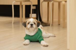 Cozy Home in Eastwood Legrand 3 Pet Friendly Fast Wifi