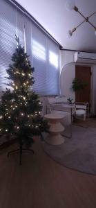 K-5 Hongdae Yeontral park