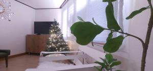 K-5 Hongdae Yeontral park