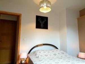 Appartements Gite Le Bijou et Spa : photos des chambres